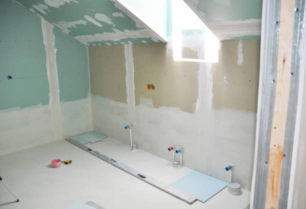 Best Dehumidification Services  in Roxana, IL