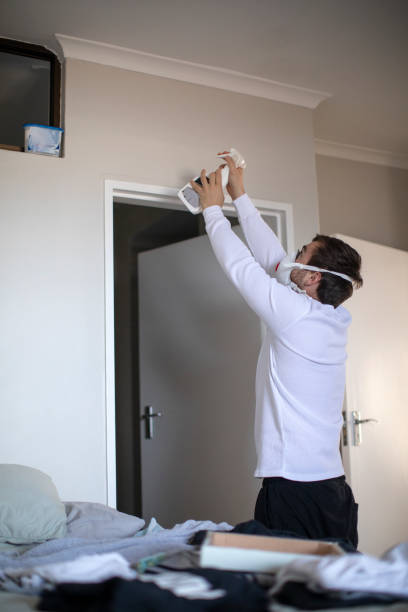 Best Mold Remediation for Healthcare Facilities  in Roxana, IL