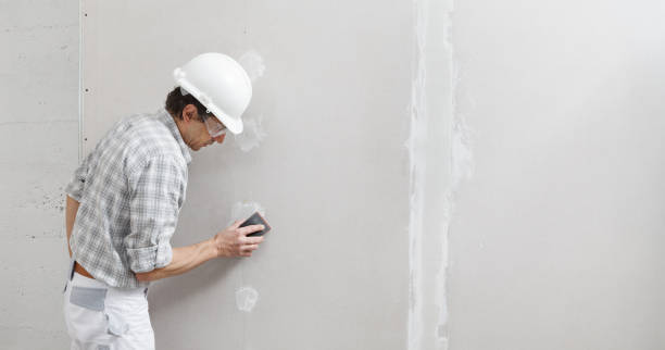 Dehumidification Services in Roxana, IL