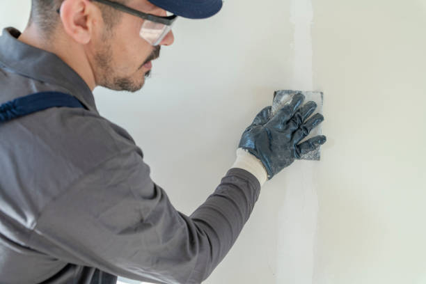 Best Emergency Mold Remediation  in Roxana, IL