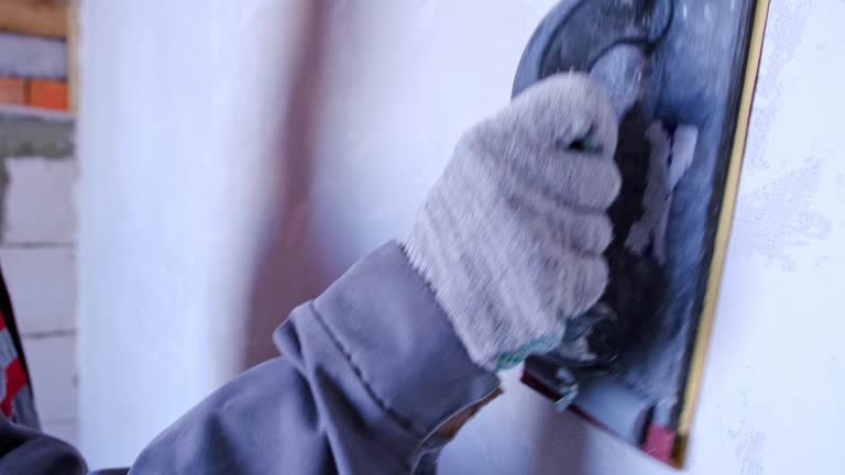 Best Black Mold Removal  in Roxana, IL