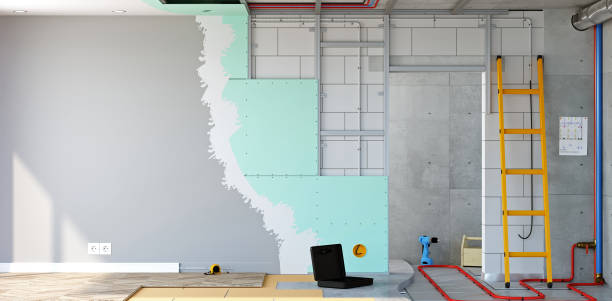 Best Airborne Mold Testing  in Roxana, IL