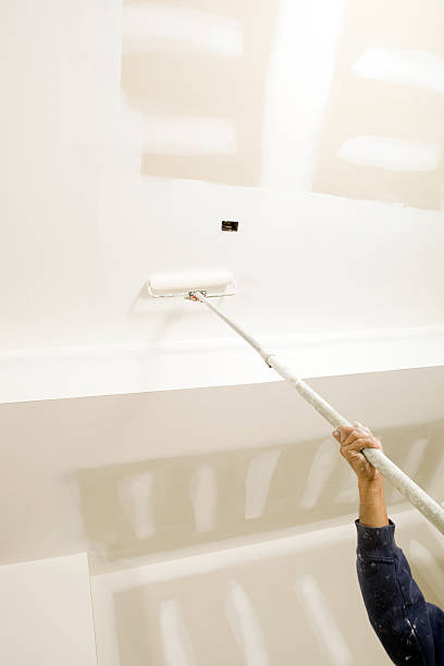  Roxana, IL Mold Removal Pros