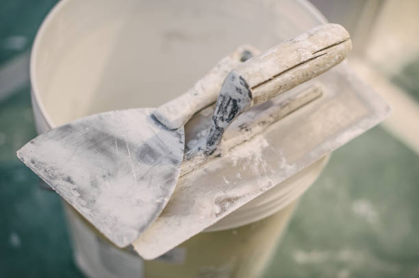 Best Attic Mold Removal  in Roxana, IL