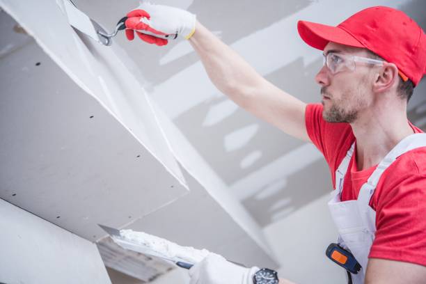 Best Real Estate Mold Inspection  in Roxana, IL