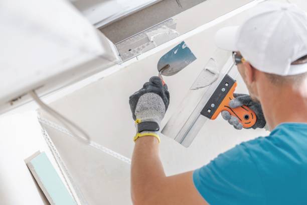 Mold Remediation for Rental Properties in Roxana, IL